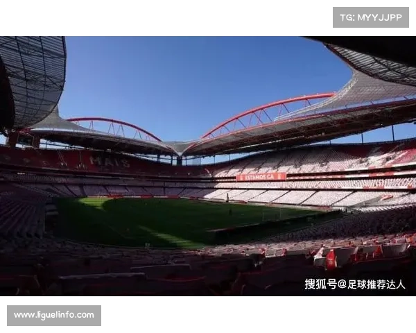 世界杯门票预售在即，欧足联警告黄牛或遭刑事起诉